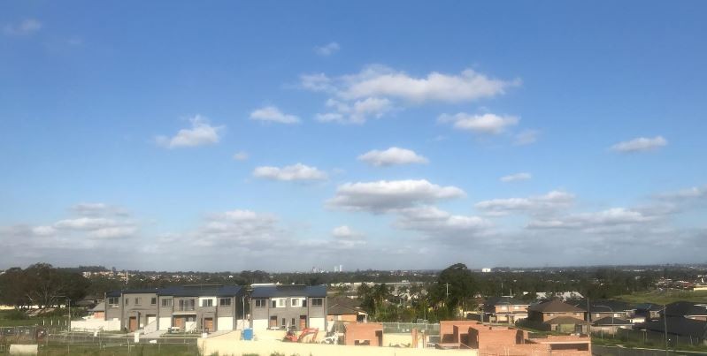 View to south